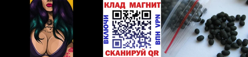 Виды наркоты Чердынь A-PVP  Гашиш  Конопля 