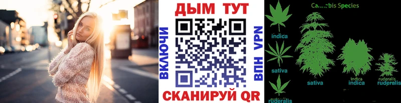 Конопля гибрид  купить  цена  Чердынь 